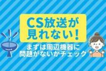 CSが映らないのは接触不良の可能性大！すぐに直せる4つの確認箇所