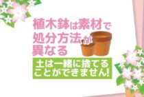 植木鉢の処分はどうしたらいい？土の処分方法についてもご紹介