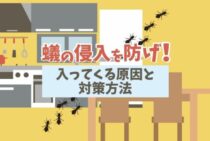 家の中の蟻はどこから侵入するのか？その原因と侵入対策を知ろう！