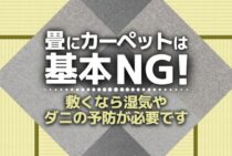 【相性最悪】畳の上にカーペットを敷きたい時はダニ、カビ対策しよう