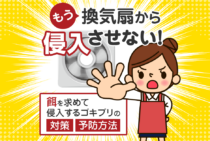 【換気扇のゴキブリ対策】二度と侵入させない方法を徹底解説