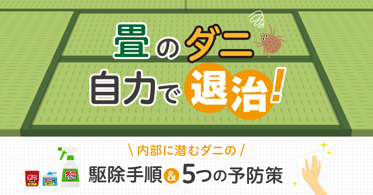 畳のダニ自力で退治！内部に潜むダニの駆除手順＆5つの予防策