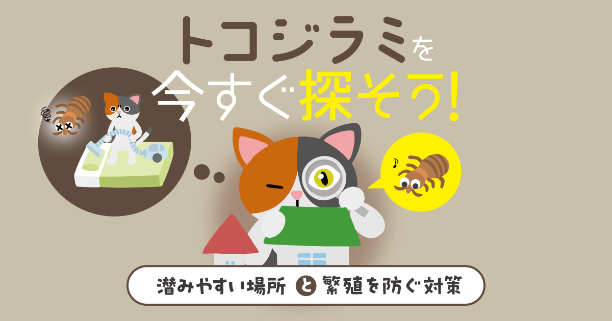 トコジラミがどこにいるかひと目でわかる！おもな潜伏場所と発生原因